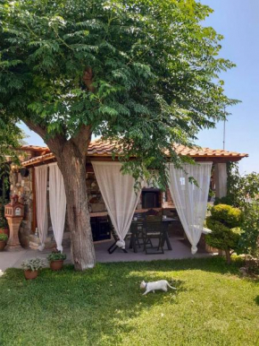 Noula's House